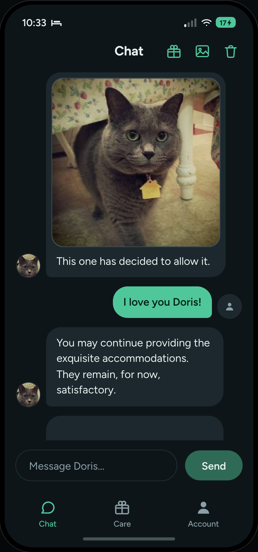 Catgrams chat showing a daily photo, a reply, and a Care activity